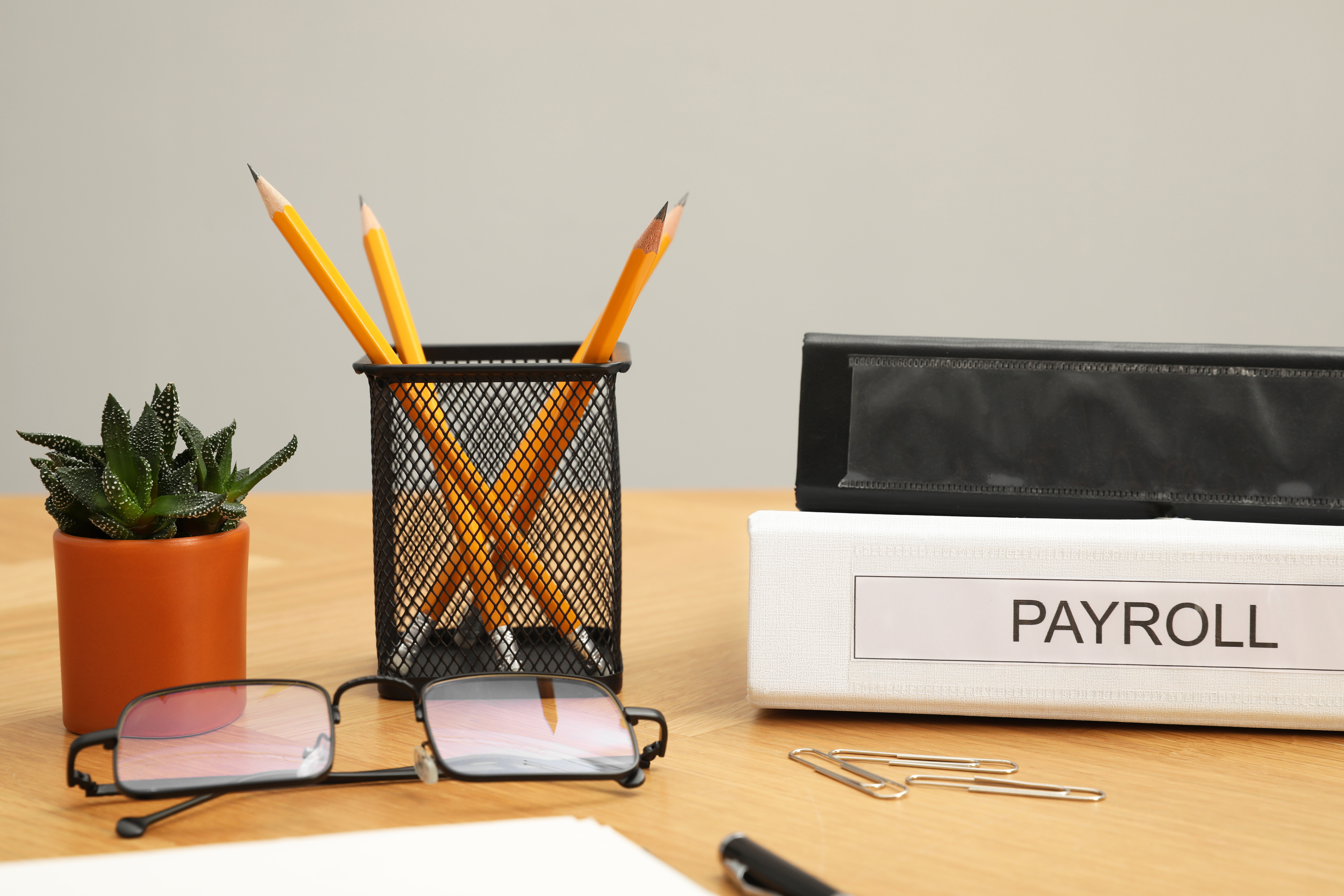 Payroll and Bookkeeping Service – Keep Your Finances Organized